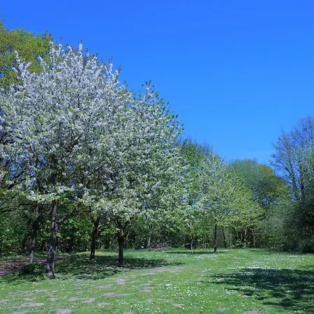 Apartament Panoramic App C03-10 Strandlage Sierksdorf