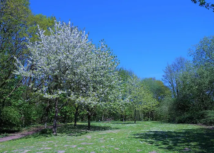Appartement Panoramic App C03-10 Strandlage Sierksdorf